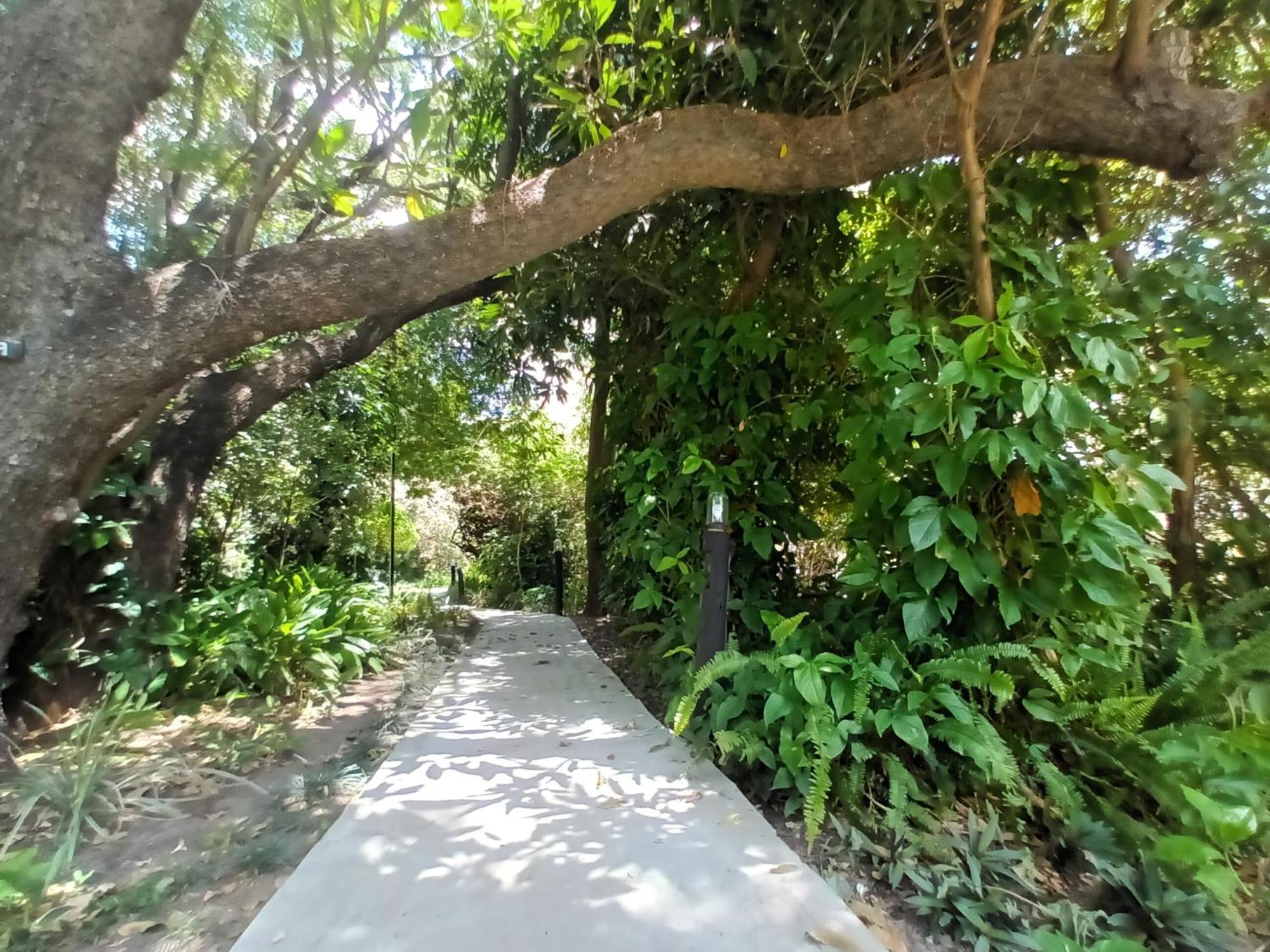 קטימה מולילו Caprivi River Lodge מראה חיצוני תמונה